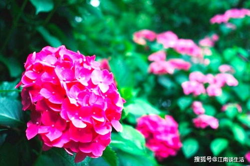 辛苦付出收獲滿滿的詩句,形容辛苦后收獲的詩句,辛苦努力換來收獲的詩句