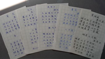 四級(jí)古詩句默寫