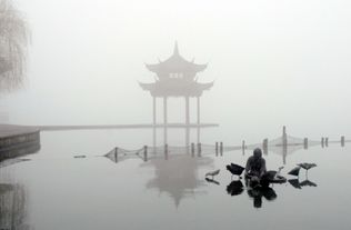 詩(shī)句,西湖,大全