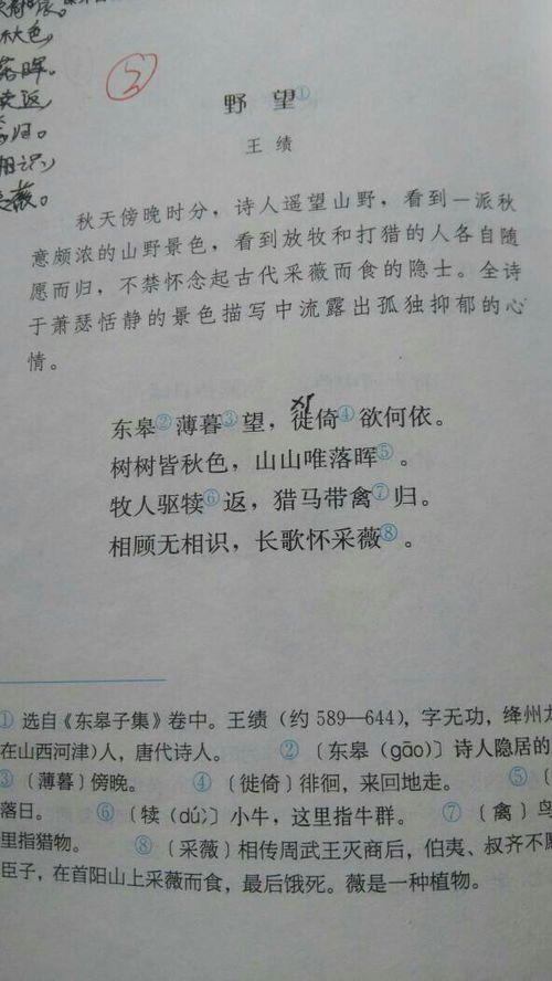 八級上冊優(yōu)美古詩句