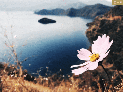 藍的詩句古詩