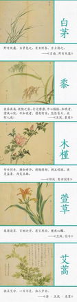 詩經(jīng)中關于描寫水草的詩句