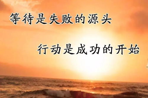 關(guān)于付出能升華自身的詩(shī)句