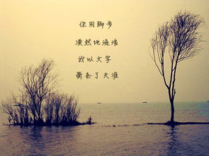 關(guān)于感情心態(tài)平靜詩句