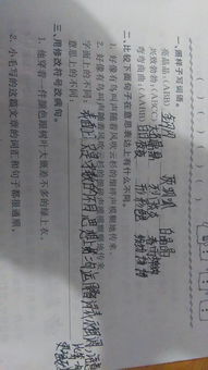 兩人對(duì)照的古詩(shī)句
