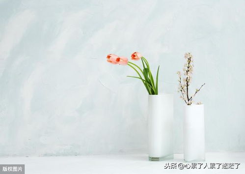 過(guò)好每一天的古詩(shī)句