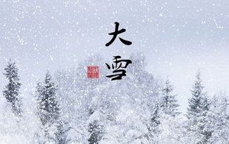 關(guān)于雪端莊沉靜的古詩(shī)句