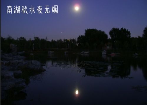 關(guān)于描寫秋水的詩句
