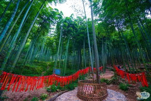 鄉間,竹子,詩(shī)句,田園