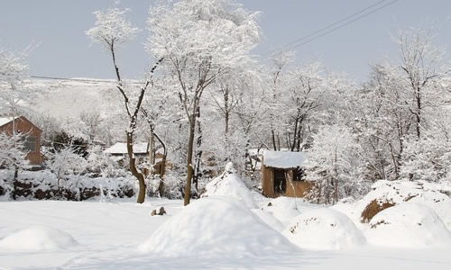 關(guān)于描寫(xiě)雪花的古詩(shī),描寫(xiě)冬天雪花的古詩(shī),描寫(xiě)雪花的古詩(shī)四年級