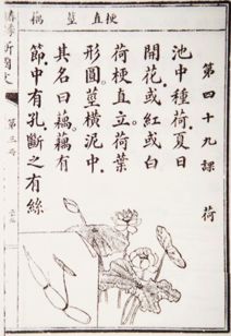 關(guān)于民國(guó)的詩(shī)句