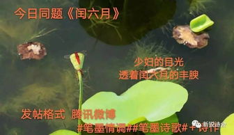 閏六月古詩句