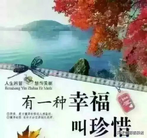 關(guān)于珍惜當(dāng)下生活的詩(shī)句