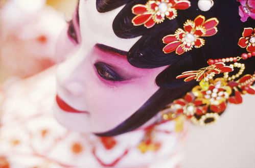 關(guān)于京劇花旦的詩(shī)句
