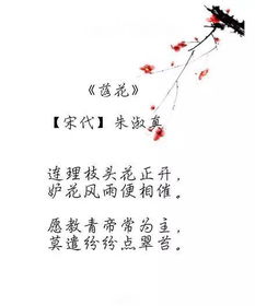 關于花的詩句或文章