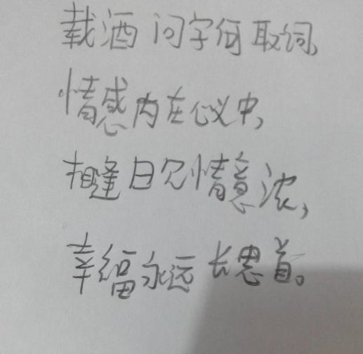 關(guān)于家庭心累的詩句