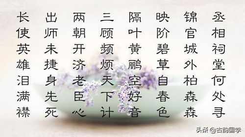 10句詩句的古詩