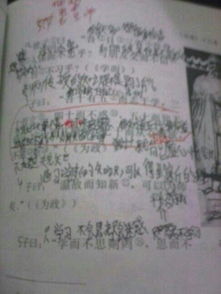 詩(shī)句,所得
