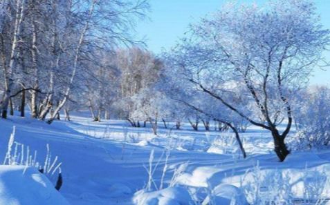 兩句帶雪的古詩(shī)句,兩句帶有雪的古詩(shī)句,描寫(xiě)雪的詩(shī)句