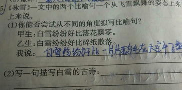 描寫(xiě)雪的比喻古詩(shī)句