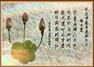 初中關(guān)于夏日桃樹(shù)的詩(shī)句