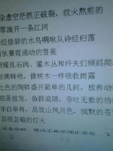 六花古詩(shī)句子