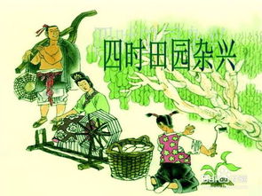 描寫(xiě)夏天山林的古詩(shī)句