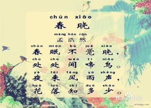 關(guān)于梅的詩(shī)句古詩(shī),描寫(xiě)田園生活的詩(shī)句古詩(shī),暗戀的詩(shī)句或古詩(shī)