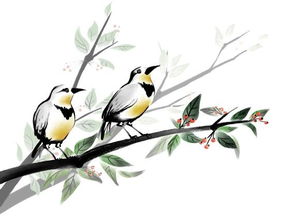 關(guān)于鳥(niǎo)花月亮山的詩(shī)句