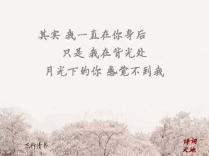 關于遇見的詩句樂觀