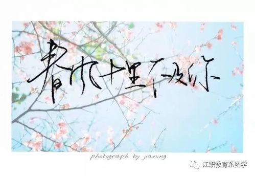 百度文庫關于桃花的古詩句
