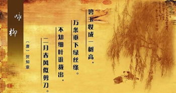 詠柳古詩(shī)句的簡(jiǎn)單意思