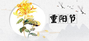 帶重陽(yáng)日古詩(shī)句