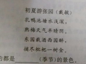 古詩,詩句,時節(jié),描寫