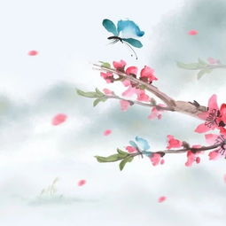 古詩,個(gè)字,詩句