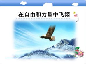 形容鳥飛翔的詩句古詩,關(guān)于飛翔的詩句古詩,形容冬天的詩句古詩