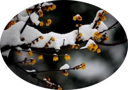 關(guān)于月亮的詩(shī)句的對(duì)聯(lián)