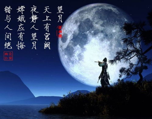 賞月思念?lèi)?ài)人的詩(shī)句,思念?lèi)?ài)人的詩(shī)句古詩(shī),表示思念?lèi)?ài)人的詩(shī)句
