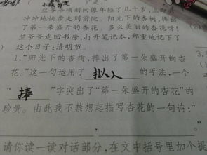 家里的杏花的古詩(shī)句