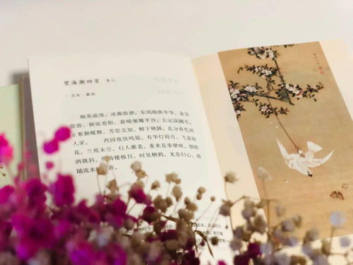 詩句,形容,醫(yī)生