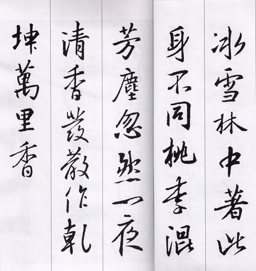 關(guān)于洋字的詩(shī)句