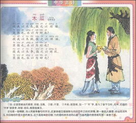 古詩(shī),句子,讀書(shū)