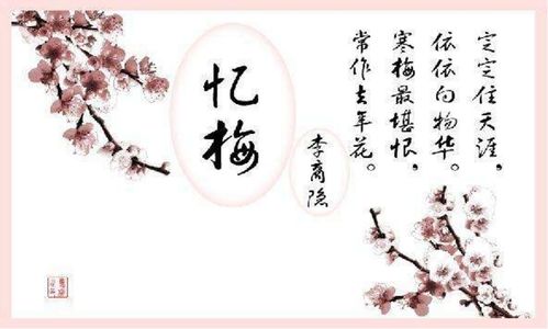 菊花的梅花的詩(shī)句古詩(shī)大全