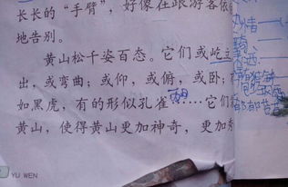 描寫黃山的古詩(shī)句有哪些,描寫黃山最有名古詩(shī),黃山最有名的古詩(shī)句