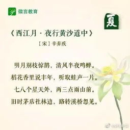 寫一句關于夏天的古詩句