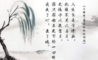 關(guān)于風(fēng)景的的詩(shī)句古詩(shī)大全