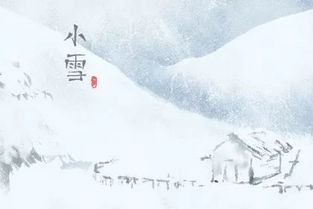 有沒(méi)有關(guān)于節(jié)氣小雪的詩(shī)句