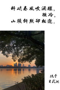 關(guān)于長安春天贊美花的詩句古詩