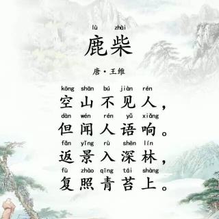 鹿柴古詩詩句意思