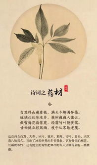 詩句